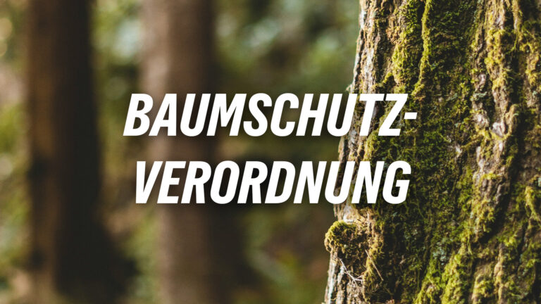 Erstellung einer Baumschutz­verordnung