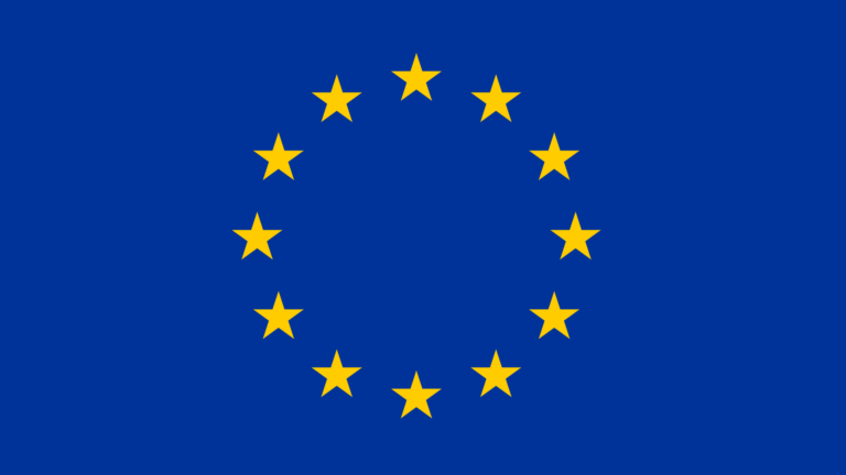 Wahl des Europäischen Parlaments 2024